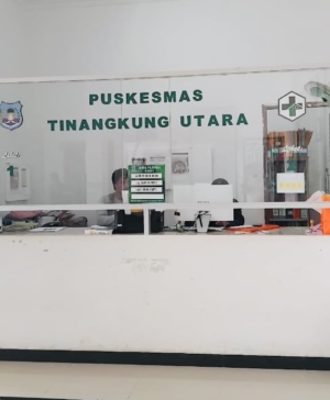 Klarifikasi Kepala Puskesmas Tinangkung Utara Terkait Isu Pelayanan Bidan Desa Lalong yang Dituding Lalai