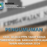 BKPSDM Banggai Kepulauan: Pengumuman Jabatan Tampungan Masih Tunggu Hasil Panselnas