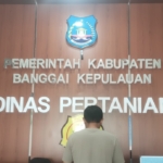 Rekomendasi BBM Pertanian di Bangkep Diduga Jadi Celah Pengecer, Dinas Pertanian Akui Mayoritas Pemohon Bukan Petani