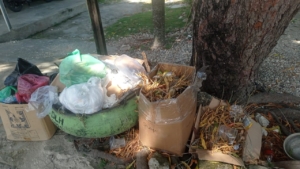 Sampah Menumpuk Hampir Sepekan, Warga Keluhkan Bau Tak Sedap di Pinggir Jalan