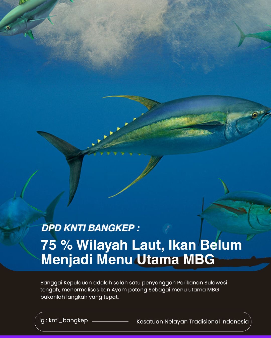 Ironi MBG di Daerah Penghasil Ikan, KNTI Bangkep: Ayam Potong Justru Lebih Dominan dalam Menu
