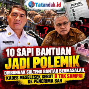 10 Sapi Bantuan Jadi Polemik: Disbunnak Sulteng Bantah Bermasalah, Kades Meselesek Sebut 8 Tak Sampai ke Penerima Sah