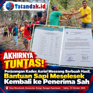 Akhirnya Tuntas! Perjuangan Kades Asriel Meseang Berbuah Hasil, Bantuan Sapi Meselesek Kembali ke Penerima Sah